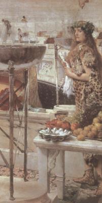 Alma-Tadema, Sir Lawrence Preparations in the Coliseum (mk23) France oil painting art